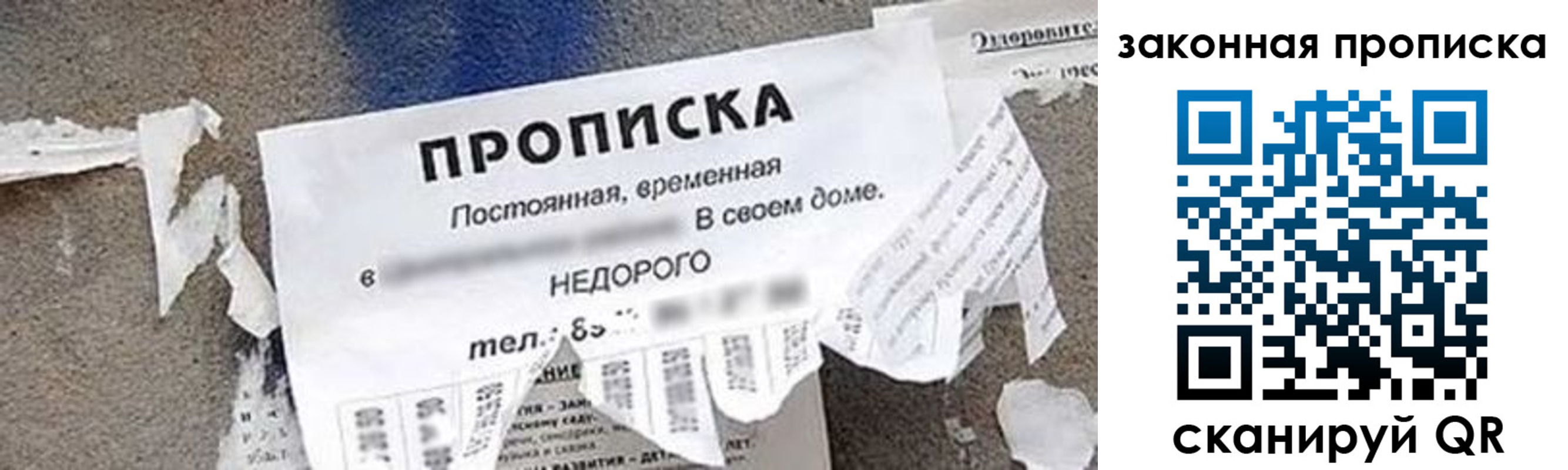 прописка иностранных граждан в Змеиногорске